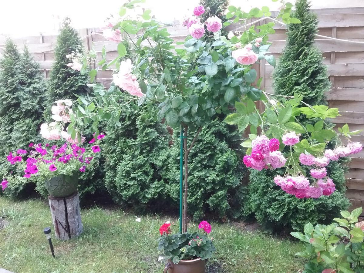 Apartament Stary Toruń Екстериор снимка